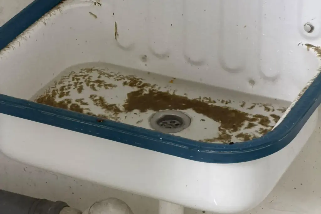 Verstopfter Abfluss: Ausgussbecken mit stehendem Abwasser in Karlsruhe