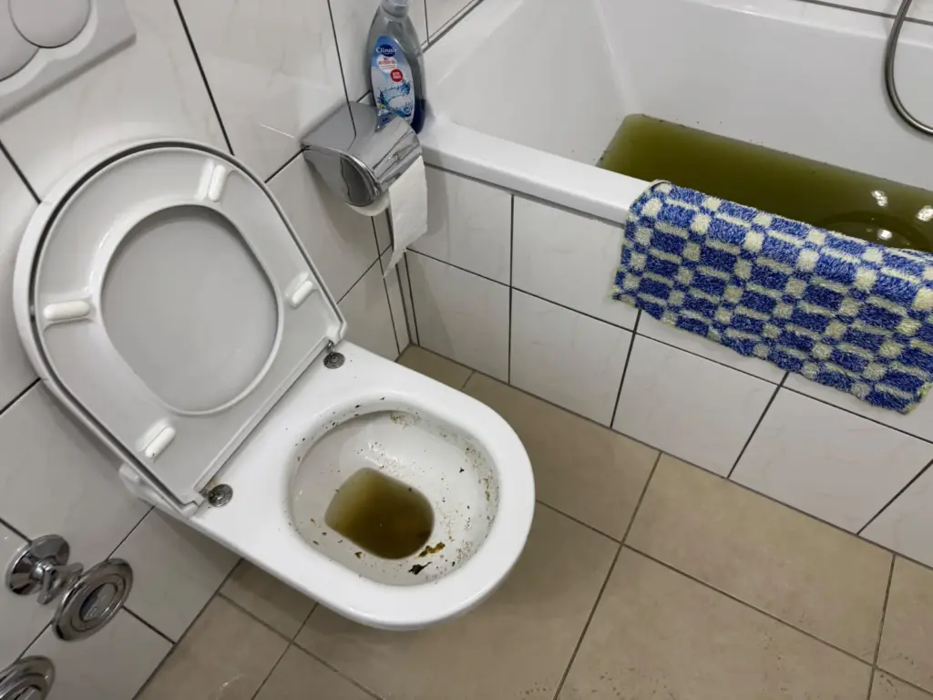 WC verstopft in Karlsruhe: Abwasser steht in der Toilettenschüssel